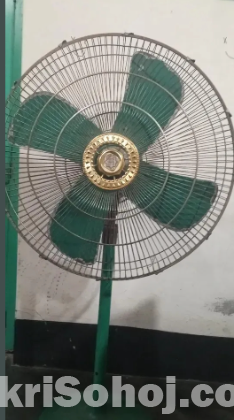 Indus national Pakistani Fan.